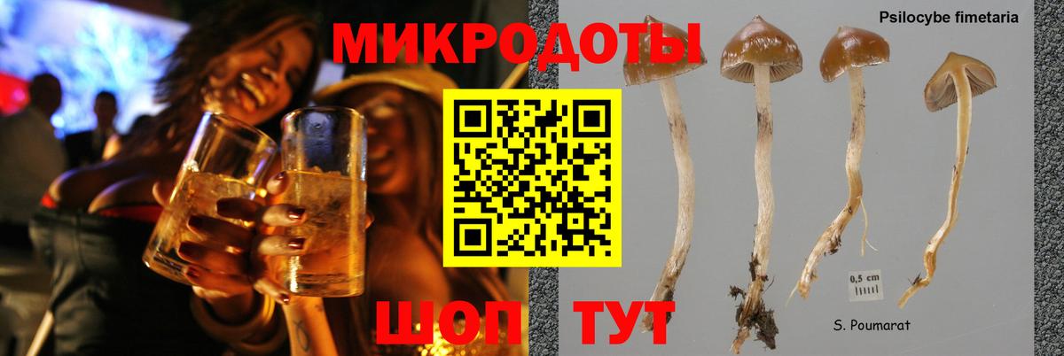 Галлюциногенные грибы Cubensis  Вход с VPN  Кашира 